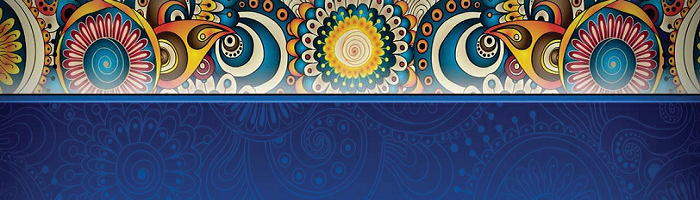 hsi banner